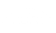 logo naim